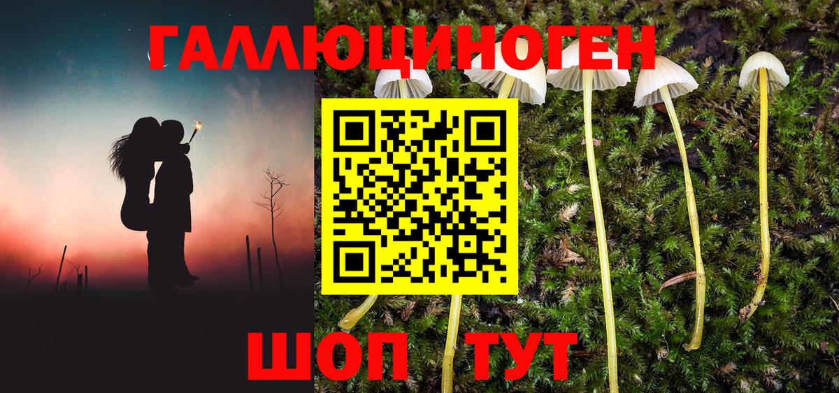 Псилоцибиновые грибы Magic Shrooms Белореченск