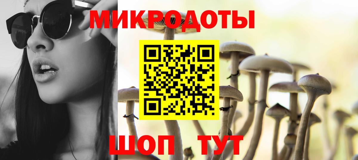 купить  сайты  Галлюциногенные грибы мухоморы  Галлюциногенные грибы мухоморы  Вход с VPN  Белореченск 